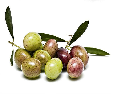 Extra Virgin Olive Oil