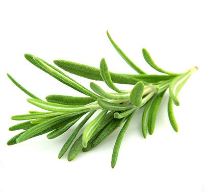 Fused Olive Oil