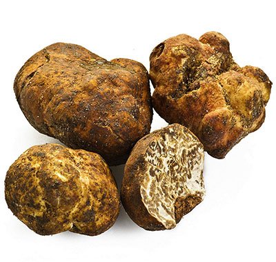 Gourmet Oil