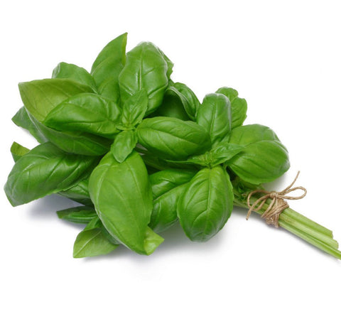 Basil Fused Olive Oil