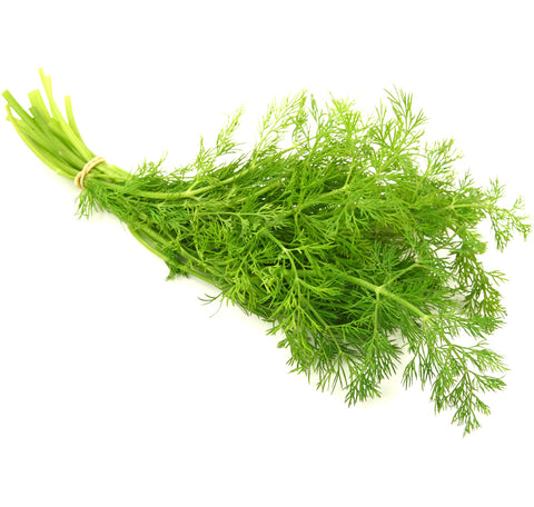 Dill Infused Olive Oil
