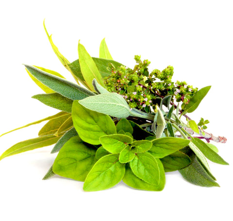 Herbes de Provence Infused Olive Oil