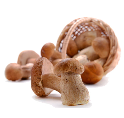 Porcini Mushroom Infused Olive Oil