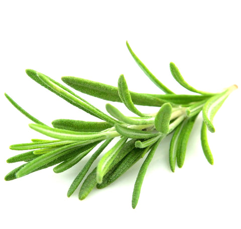 Rosemary Fused Olive Oil