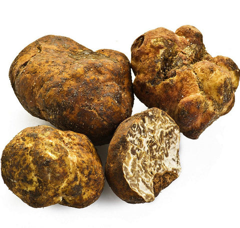 White Truffle of Alba Gourmet Oil